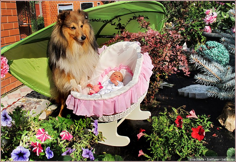 Ассорти. Часть 2 — Игровые куклы разных производителей (Разное): редкие бренды