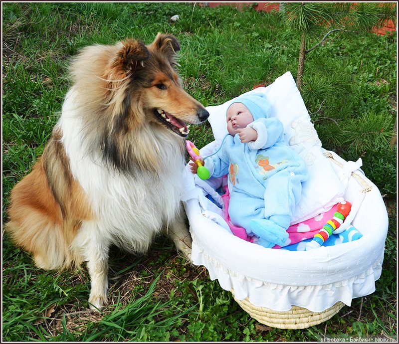 Ассорти. Часть 1 — Игровые куклы разных производителей (Разное): редкие бренды