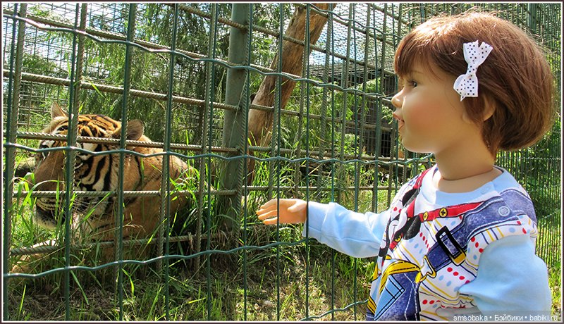 Ассорти. Часть 2 — Игровые куклы разных производителей (Разное): редкие бренды