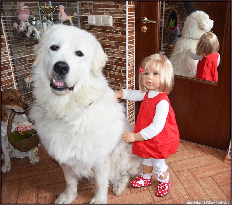 Ассорти. Часть 1 — Игровые куклы разных производителей (Разное): редкие бренды (фото 8)