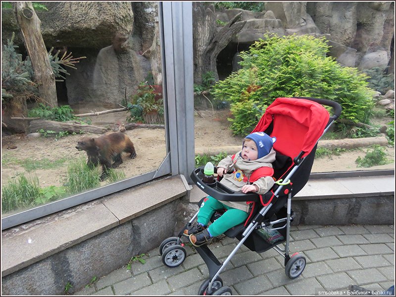 Ассорти. Часть 3 — Игровые куклы разных производителей (Разное): редкие бренды