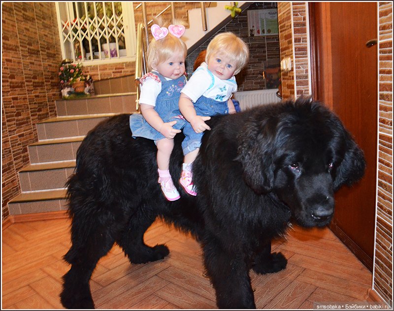 Ассорти. Часть 1 — Игровые куклы разных производителей (Разное): редкие бренды