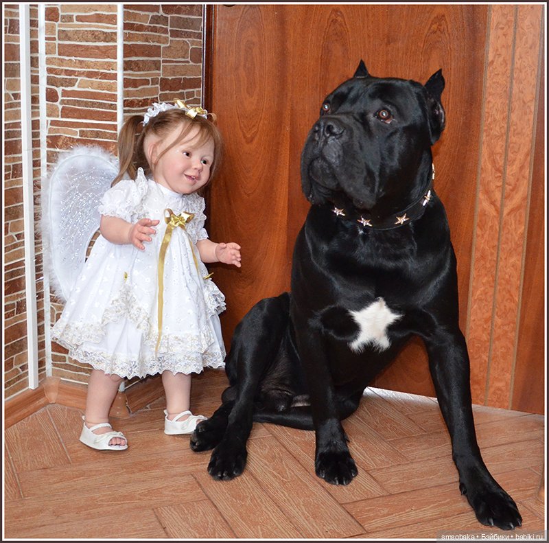 Ассорти. Часть 1 — Игровые куклы разных производителей (Разное): редкие бренды (фото 10)