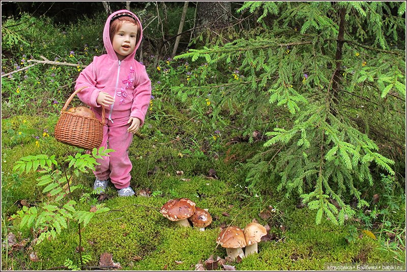 Ассорти. Часть 2 — Игровые куклы разных производителей (Разное): редкие бренды