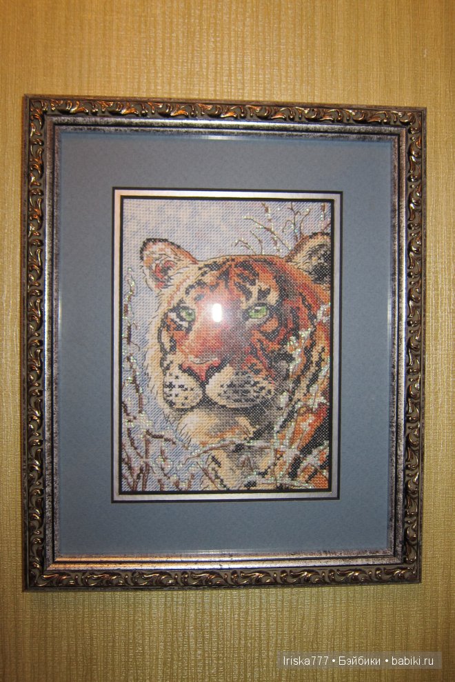 Хвастаюсь — Другие хобби и увлечения: сад (фото 6)