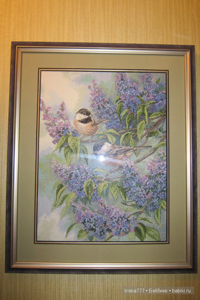 Хвастаюсь — Другие хобби и увлечения: сад (фото 5)