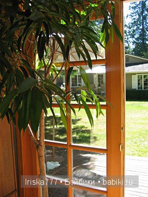 Куклы Susan Krey | Бэйбики Куклы Susan Krey — Куклы Susan Krey (Сьюзан Крей): Krey Classics (фото 2)