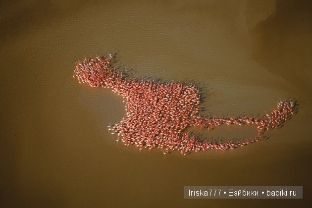 Ах, обмануть меня не трудно, я сам обманываться рад. Мир иллюзий