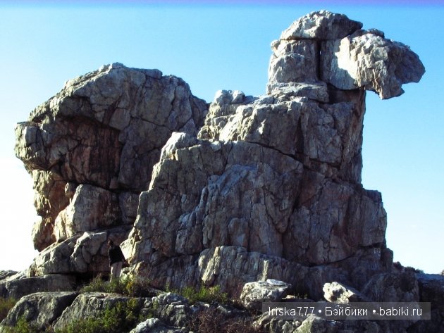 Ах, обмануть меня не трудно, я сам обманываться рад. Мир иллюзий