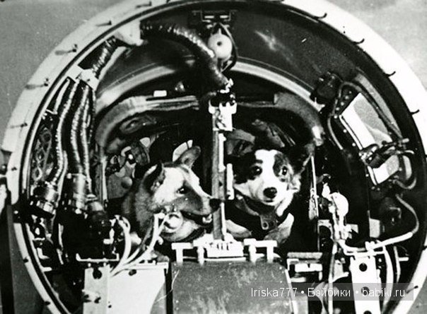 Фотографии, сохранившие историю - 2