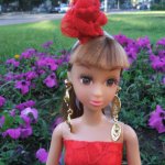 Моя розочка - Зюри