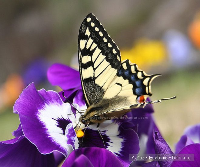 Tori,Monika Peter-Leicht,Pretti in pink,Ashton Drake