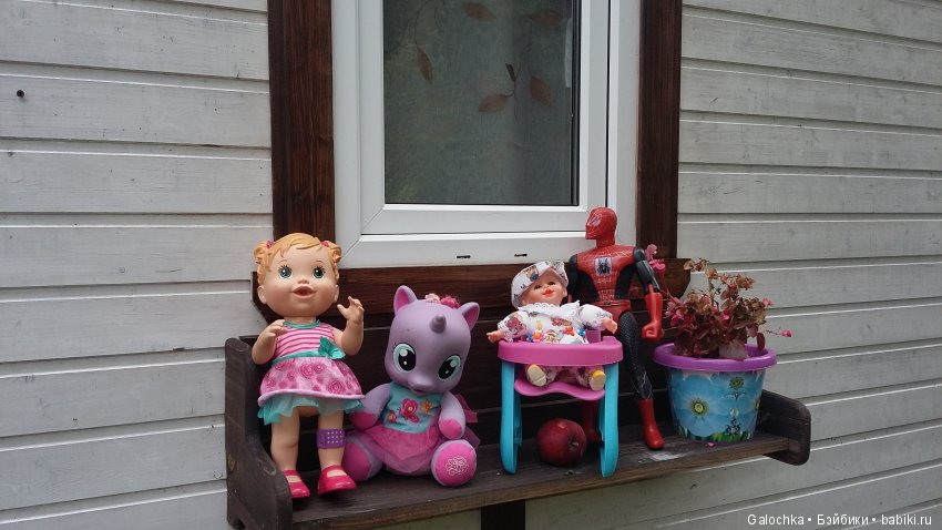 Дачный ВЕРНИСАЖ — Интересное и необычное: фотоподборки (фото 4)