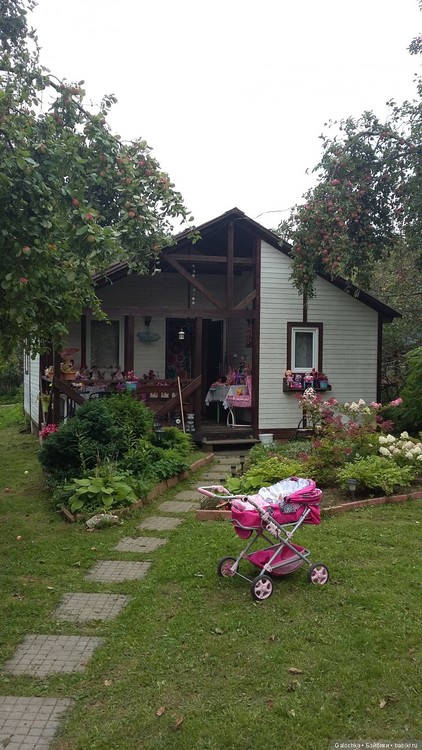 Дачный ВЕРНИСАЖ — Интересное и необычное: фотоподборки (фото 2)