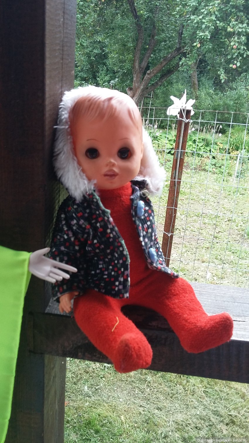 Дачный ВЕРНИСАЖ — Интересное и необычное: фотоподборки