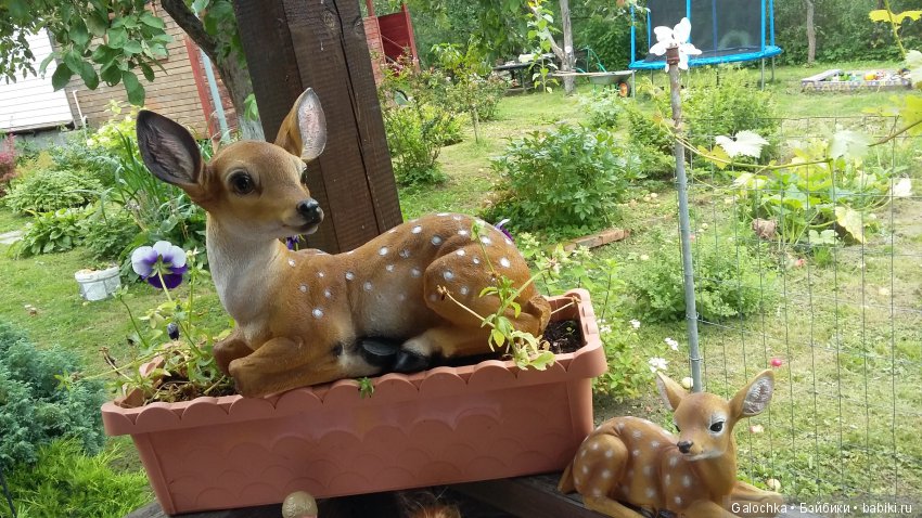 Дачный ВЕРНИСАЖ — Интересное и необычное: фотоподборки