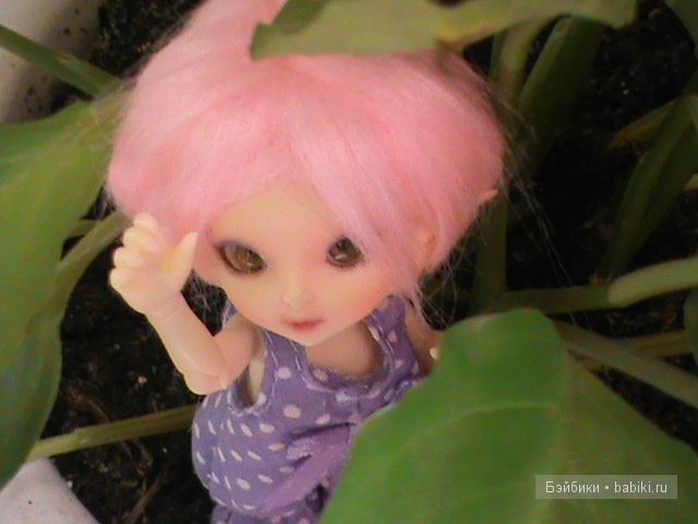 И конечно же как истинный эльф, Мася не могла не ознакомиться с домашней флорой"