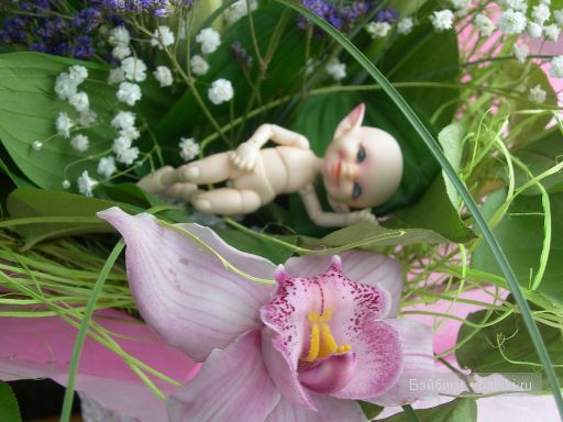 Фрося и букет