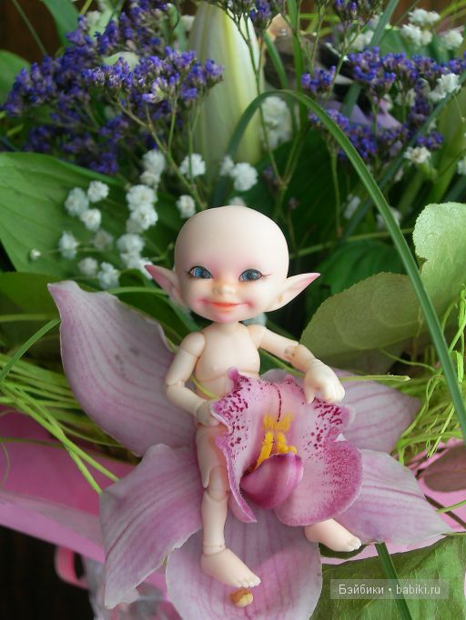 3-я серия. Про цветочки — Куклы Fairyland (ФэйриЛэнд): BJD (БЖД) (фото 6)