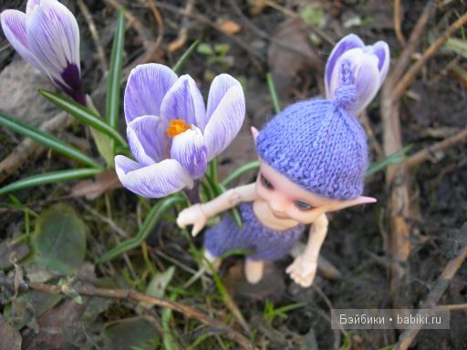 3-я серия. Про цветочки — Куклы Fairyland (ФэйриЛэнд): BJD (БЖД) (фото 9)