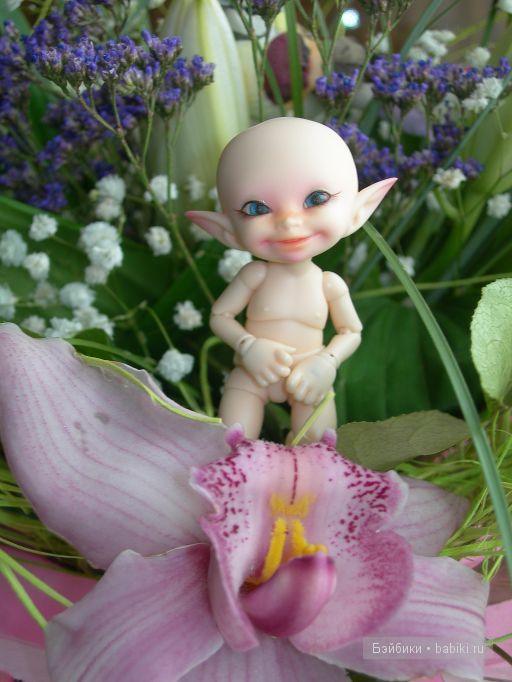 3-я серия. Про цветочки — Куклы Fairyland (ФэйриЛэнд): BJD (БЖД) (фото 7)