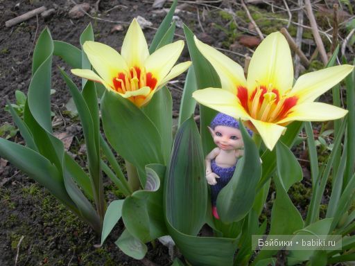 3-я серия. Про цветочки — Куклы Fairyland (ФэйриЛэнд): BJD (БЖД)