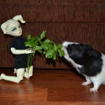 Главное не победа, главное -участие!