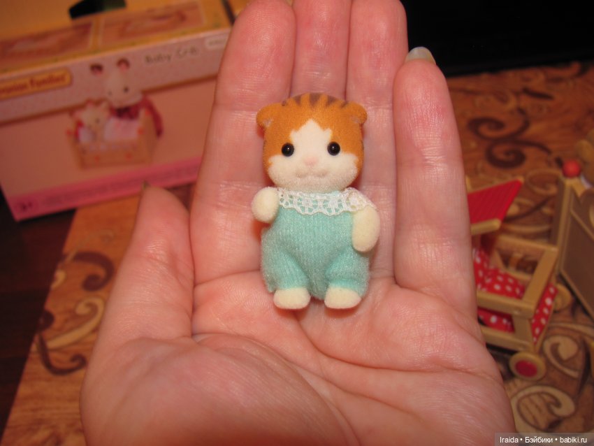 С чего начинается Сильвания (фото 3)