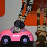 ...Траву зайцы в полночь косили