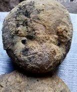 фото из объявления фото из объявления