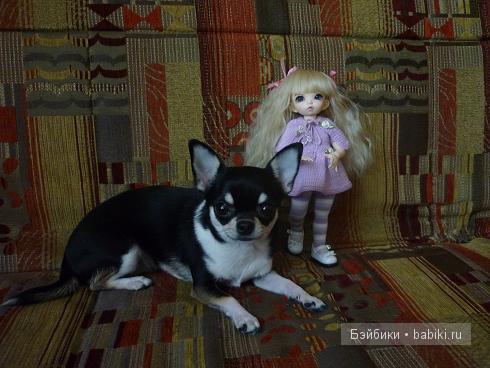 Моя первая куколка БЖД - LittleFee Bisou | Бэйбики Моя первая куколка БЖД - LittleFee Bisou (фото 3)