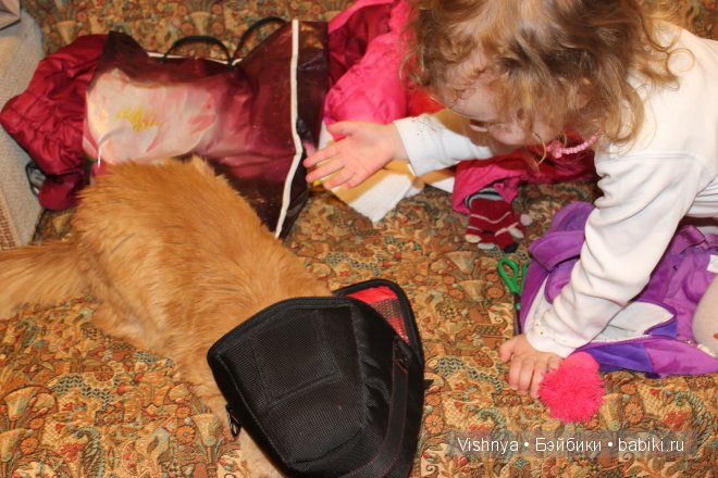 Четыре времени года — Другие хобби и увлечения: сад
