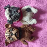 Песики . Ручной работы