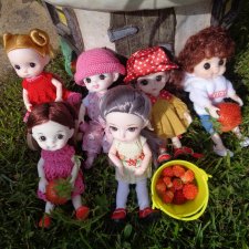 Любимки в деревне