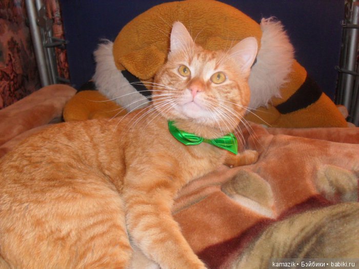 Фото за месяц. Ясельная группа