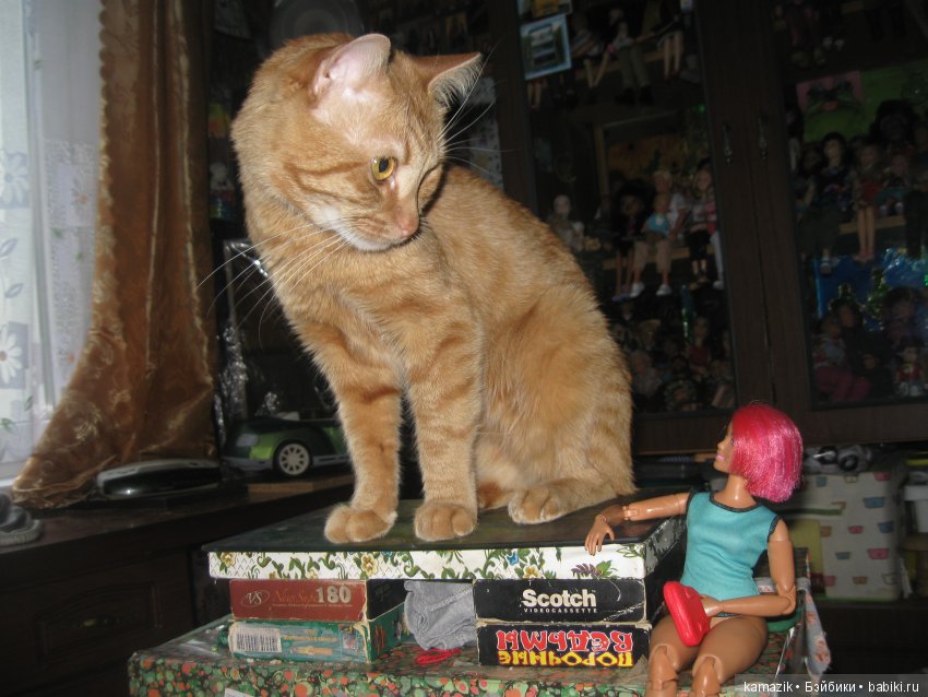 Район Камазовка. Мисс Ритка продолжает гулять