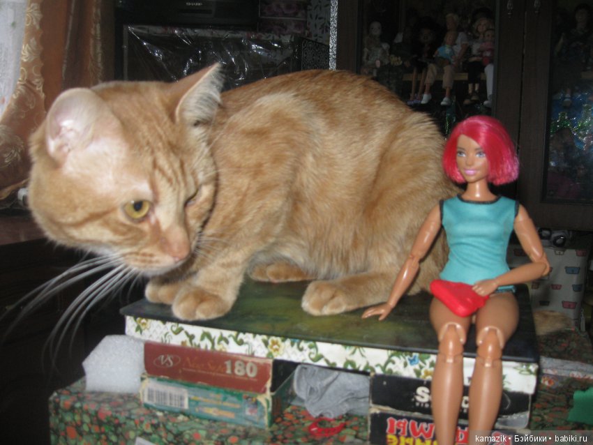 Район Камазовка. Мисс Ритка продолжает гулять (фото 2)