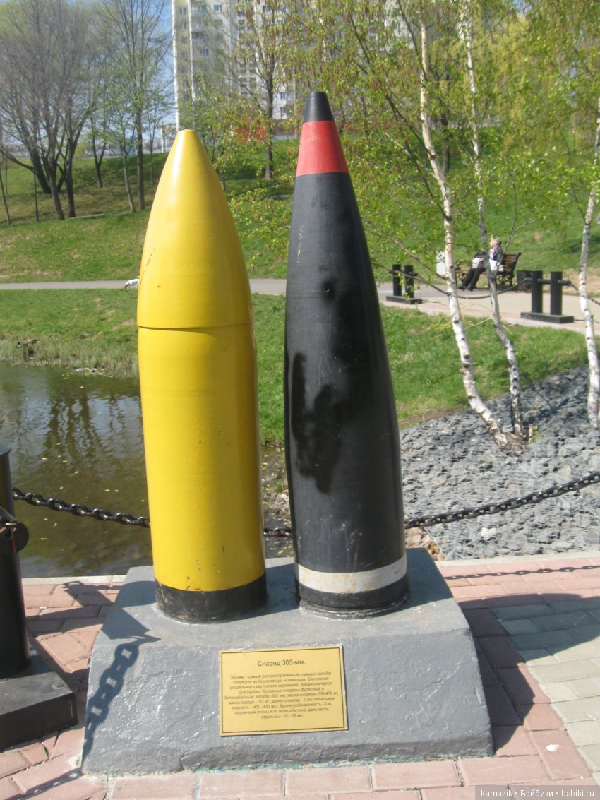 Район Камазовка. Мисс Ритка продолжает гулять (фото 9)