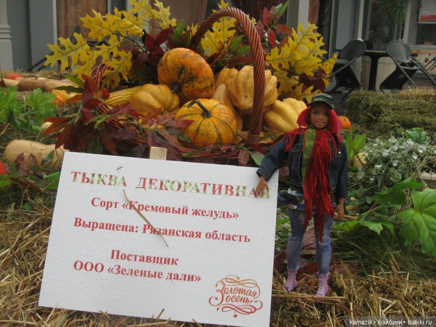 Золотая осень рядом с Кремлём (фото 10)