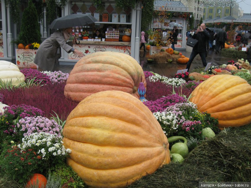 Золотая осень рядом с Кремлём (фото 2)