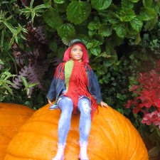 Золотая осень рядом с Кремлём