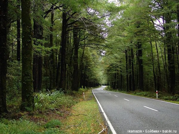 Мечта. Базар по фене. 18+ (фото 4)