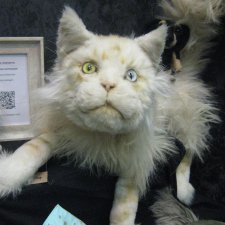 Тишинка моими глазами