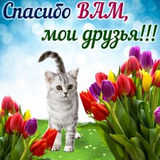 СПАСИБО ОГРОМНОЕ! Я люблю вас!