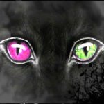 Гетерохромия: биологическая аномалия или особый взгляд на жизнь? ООАК Sivilla