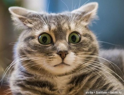 Валентина. Часть 1 Вперед - по дороге к мечте