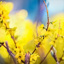 Репетиция весны в Аптекарском огороде. Яркие цветочные краски для поднятия настроения!