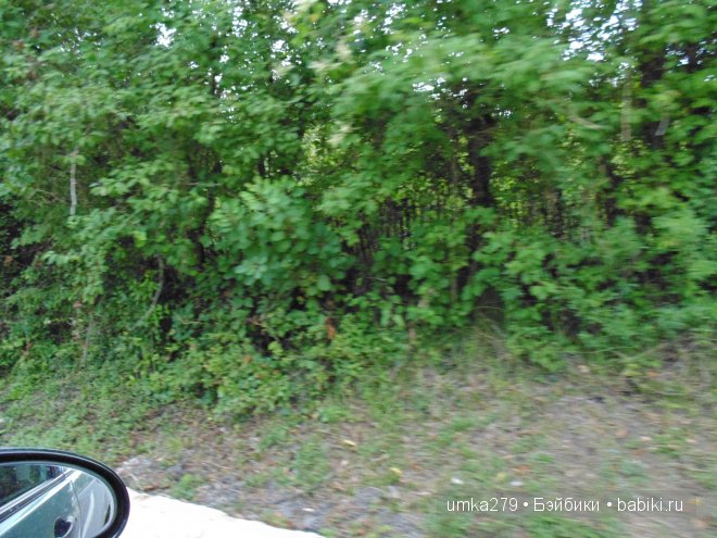 БЖД, Зои, Анте, пукифи