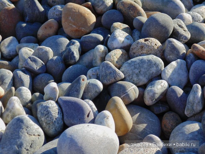 БЖД, Зои, Анте, пукифи