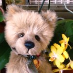 Задорная и немного грустная мишка Тедди по имени Мэри от Изабель Ли (Isabelle Lee), CHARLIE BEARS collection